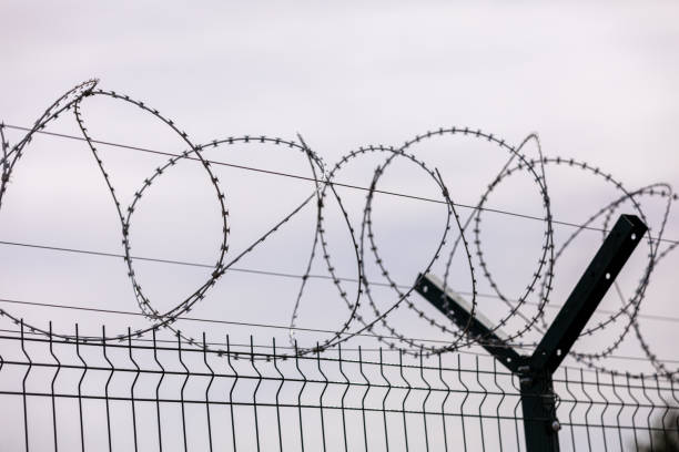 istock Barbed wire on the sky background. selective focus. metal wire 1201956277