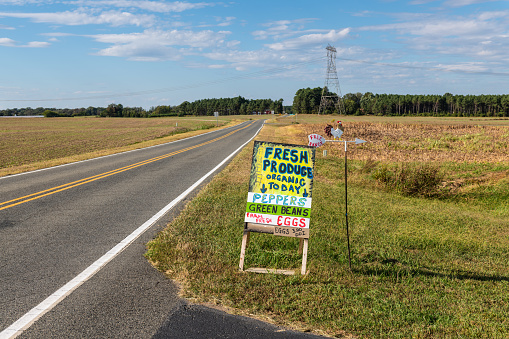 A handmade sign advertising farm products on the side of a country road.