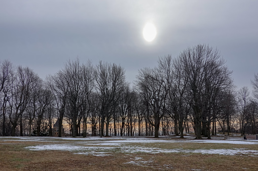 sun covered in cloudy sky behind deciduous trees and a melting snow on a grassy ground