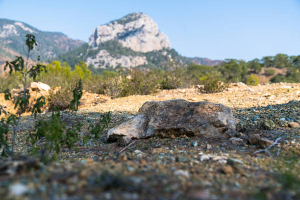 Antalya guver forests Mediterranean region, Antalya, Antalya City, Turkey, Ancient kursunlu waterfall stock pictures, royalty-free photos & images