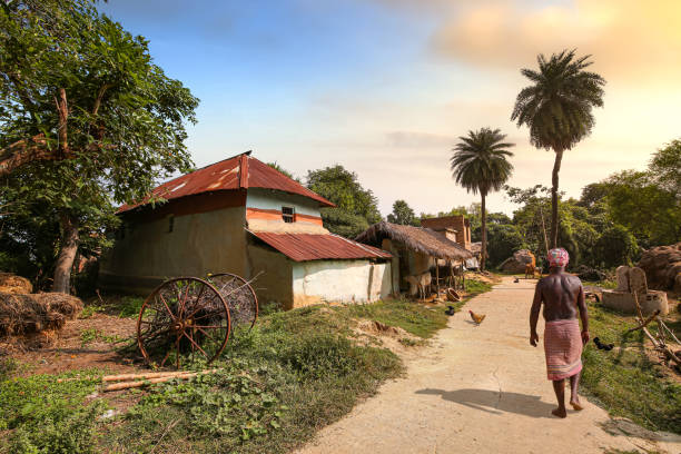 Man walking along an unpaved village road at sunset West Bengal, India, November 2,2019: Rural man walking along an unpaved village road with view of mud houses at sunset. Photograph shot at Bolpur, West Bengal India mud hen stock pictures, royalty-free photos & images