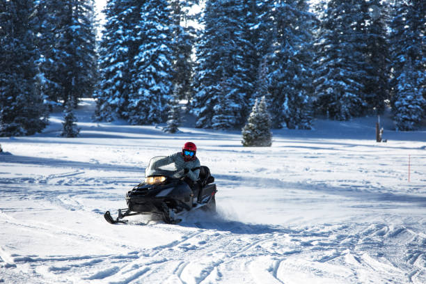 istock Driving snowmobile in Colorado, USA 1201972443