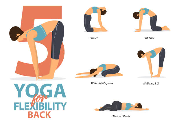 Infographic of 5 Yoga poses for back flexibility in flat design. Beauty woman is doing exercise for body stretching. Set of yoga sequence Infographic. Infographic of 5 Yoga poses for back flexibility in flat design. Beauty woman is doing exercise for body stretching. Set of yoga sequence Infographic.  Vector Illustration. ustrasana stock illustrations