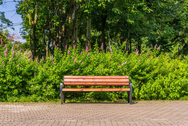 istock The empty bench in the park at sunny day 1201981429