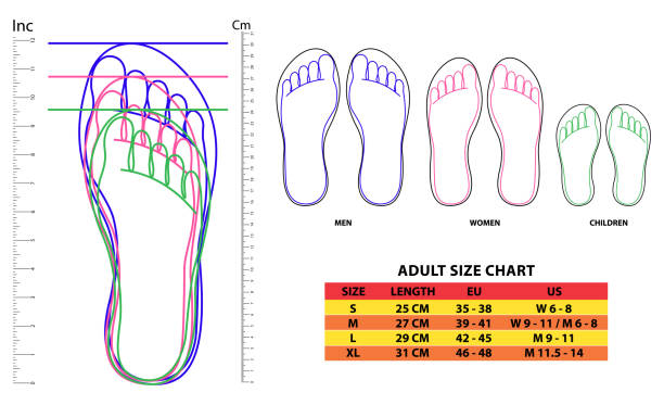 ilustraciones, imágenes clip art, dibujos animados e iconos de stock de conjunto de tamaño de la carta de zapatos o tamaño de la carta de calcetines o concepto de la carta de pie de medida. - large small scale clothing