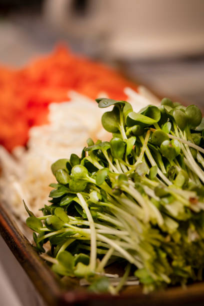 Vegetables being prepared for making Sushi