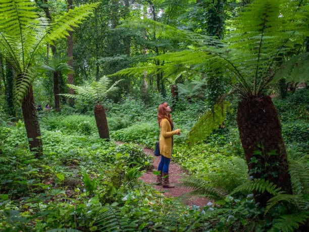 Young redheaded woman awes at the beauty in a thick lush fern forest.