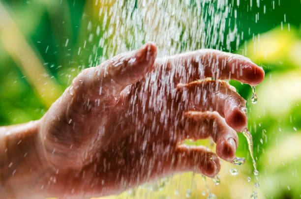 istock Water is life.Refreshing and relaxing in natural shower 1201992871