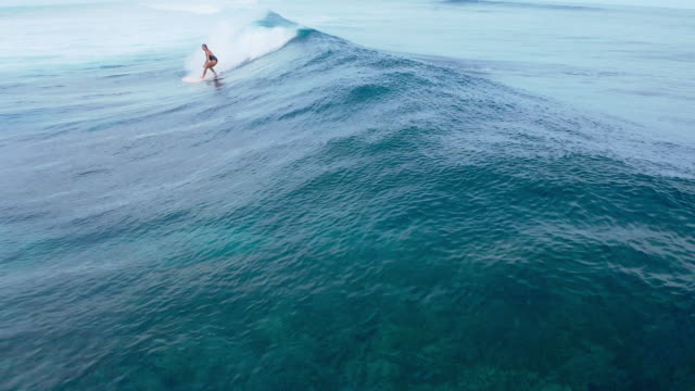 Surfer woman riding on the blue ocean, slow motion