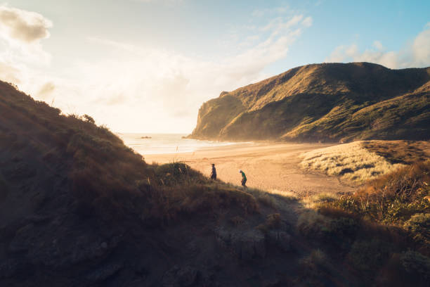 Hiking up the mountain. Two young man  enjoying a hike up on a mountain in Auckland, New Zealand. north island new zealand stock pictures, royalty-free photos & images