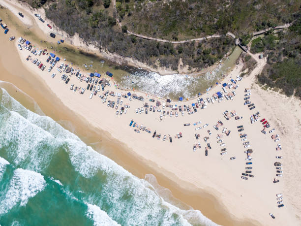 High angle aerial bird's eye drone view of four-wheel drive cars parked at Eli Creek, a river mouth with crystal clear water and popular tourist attraction on Fraser Island, Queensland, Australia. High angle aerial bird's eye drone view of four-wheel drive cars parked at Eli Creek, a river mouth with crystal clear water and popular tourist attraction on Fraser Island, Queensland, Australia. fraser island stock pictures, royalty-free photos & images