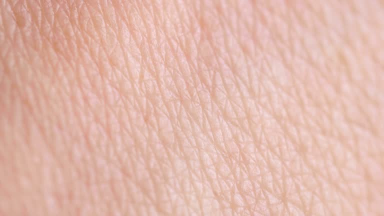 Human skin