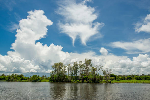 enormes formações de nuvens sobre as zonas úmidas de corroboree, darwin, território northen, austrália. - kakadu national park australia bird northern territory - fotografias e filmes do acervo