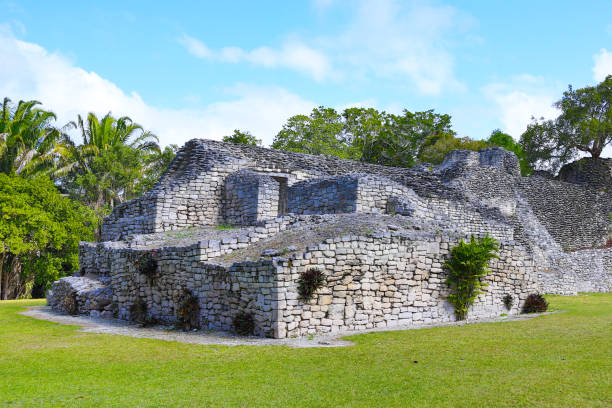 Majestic Mayan structures amid tropical greenery