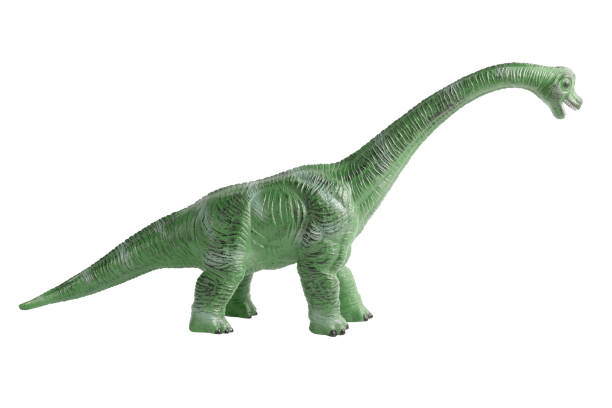 Dinosaur toy isolated on white background, Miniature dinosaur model stock photo