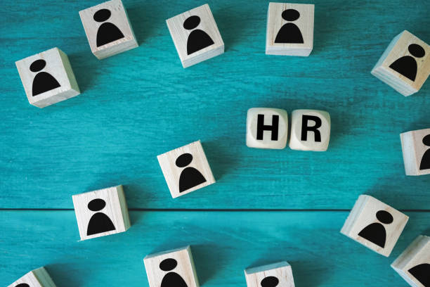 istock Concept Human resources search block wooden on background 1202007940