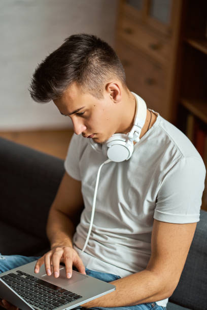 istock Young handsome man with laptop on gray sofa at home 1202014501