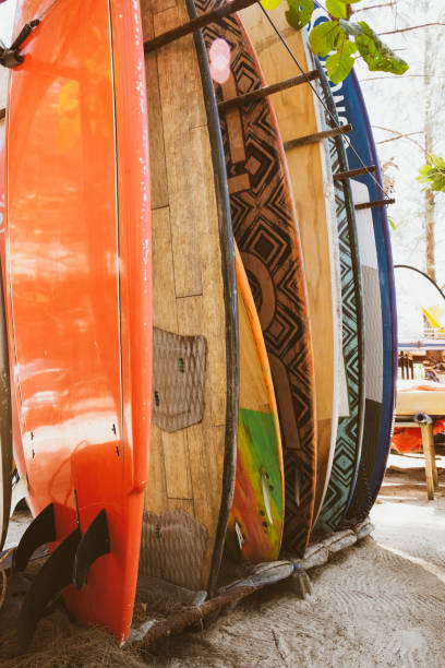 istock surf boards in shop for rent on the beach. 1202016582