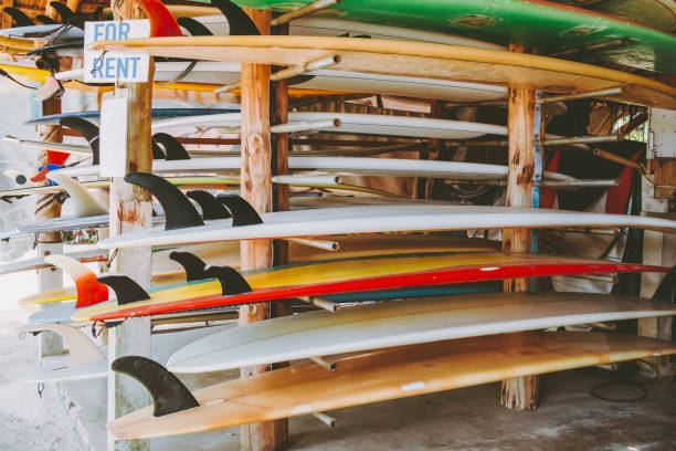 istock Colorful surf boards in shop for rent 1202016672