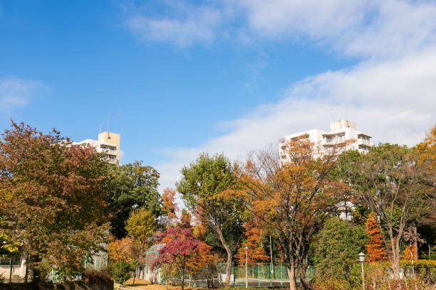 istock A housing complex in Hachioji City, Tokyo, Japan 1202017120