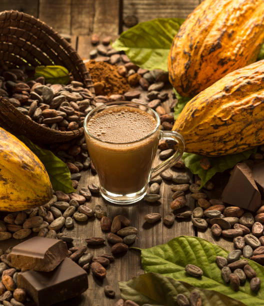 Composition of real cocoa organic fruits with cocoa tree leaves, cocoa nibs (beans), hot chocolate cup and dark chocolate bar chunks on wooden table. This photography represents the different stages of cacao. Vertical composition. Studio shot. No people. High angle view.