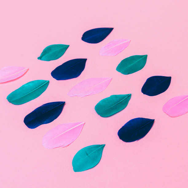 istock Multicolored feathers are laid out in geometric lines on light bright pink background. 1202018088