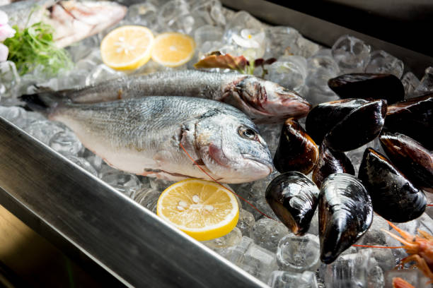 istock Frozen see food on ice. Shrimps, fish and seashells. 1202022059