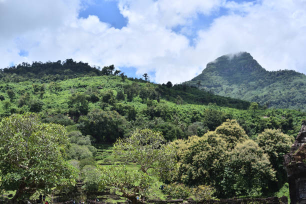 istock Green Forest in Background Champasak Laos 1202022665