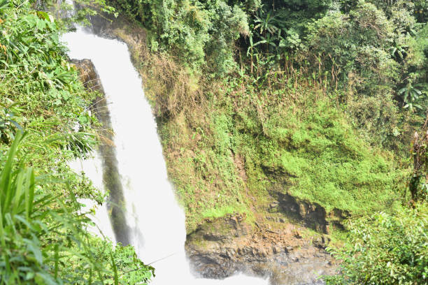 istock Beautiful Forest river waterfall in laos,River stream waterfall in mountain forest 1202022932