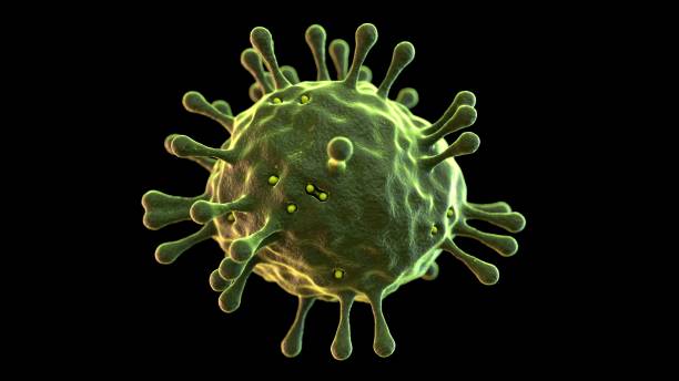 istock Coronavisus Corona Sars Virus Microbe Bacteria Macro Microscopic 3d Illustration 1202023861