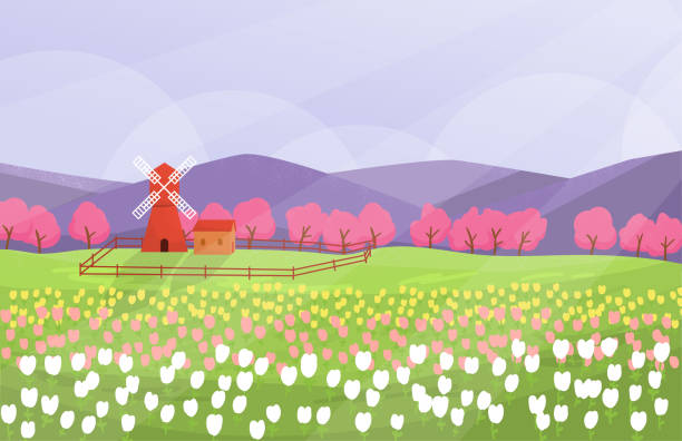illustrations, cliparts, dessins animés et icônes de paysage de ressort avec le jardin de tulipe et le moulin à vent. style minimal. - tulip field flower cloud