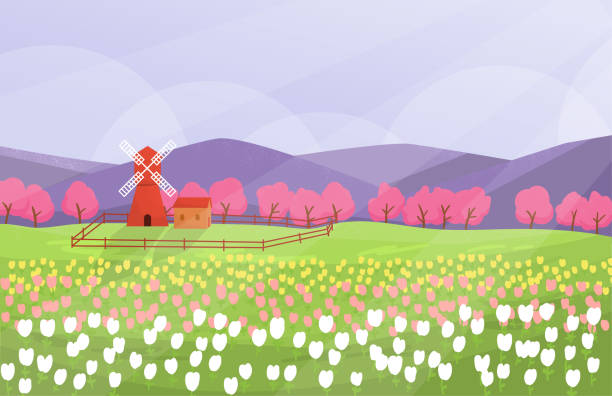 ilustrações, clipart, desenhos animados e ícones de paisagem da primavera com jardim de tulipas e moinho de vento. estilo mínimo. - tulip field flower cloud