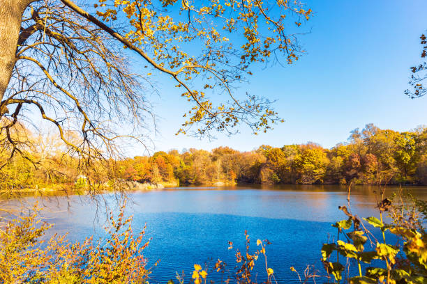 istock Vibrant Nature Colors from Central Park during Autumn 1202025497