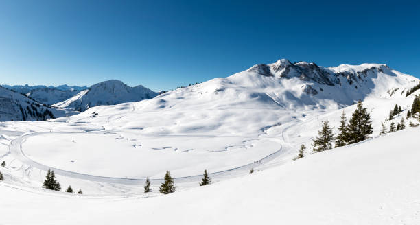 widok z lotu ptaka z pięknego zaśnieżonego pasma górskiego - bregenzwald zdjęcia i obrazy z banku zdjęć
