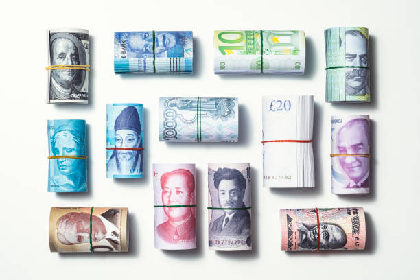 International money  concept Money rolls on white background. Dollar, South African rand, Euro, Australian dollar, Brazilian reads, Korean won, Russian roubles, British pound, Turkish lira, Canadian dollar, Chinese yuan, Japanese yen and Indian rupee rolls. african currency stock pictures, royalty-free photos & images