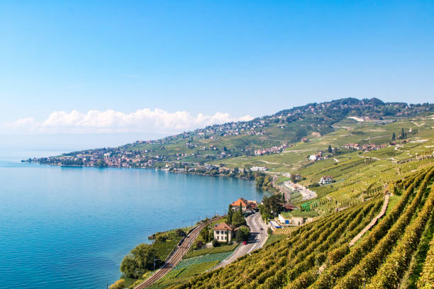 istock Vineyard of Lavaux, between lake and mountains 1202027556