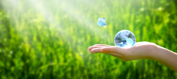 istock Card for World Earth Day concept. Saving environment and clean green planet. Earth globe in hand and flying butterfly on grass background. 1202028064
