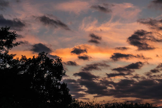 istock Sunset in the countryside. 1202029495