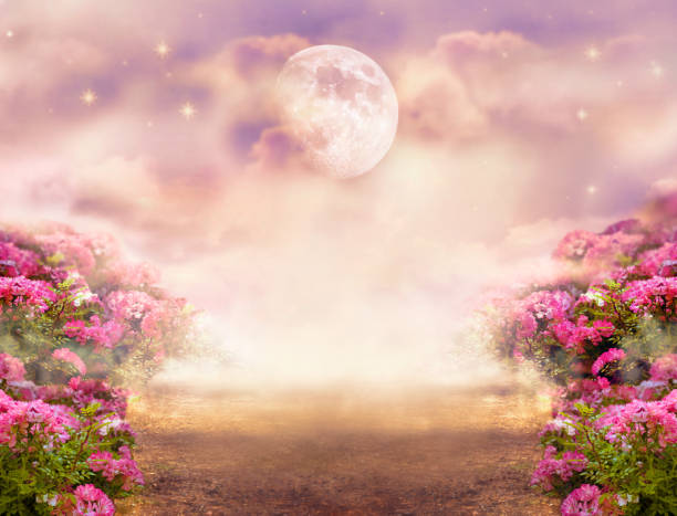 Fantasy photo background with rose field, dramatic sky with big moon and stars, misty path leading across hills to mysterious glow. Tranquil evening scene. Fantasy photo background with rose field, dramatic sky with moon and stars, misty path leading across hills to mysterious glow. Tranquil evening scene. Photo of moon is taken by me with my camera. fairy rose stock pictures, royalty-free photos & images