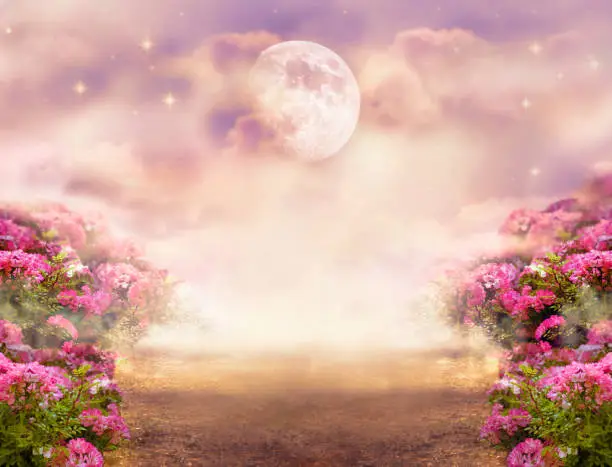 Photo of Fantasy photo background with rose field, dramatic sky with big moon and stars, misty path leading across hills to mysterious glow. Tranquil evening scene.