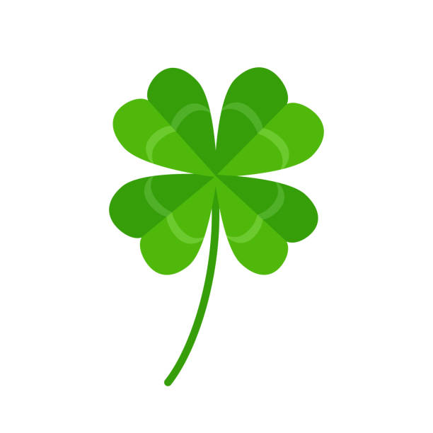 Four leaf clover icon isolated on white background Lucky four-leaf clover icon. Vector illustration isolated on white background four leafed clover stock illustrations