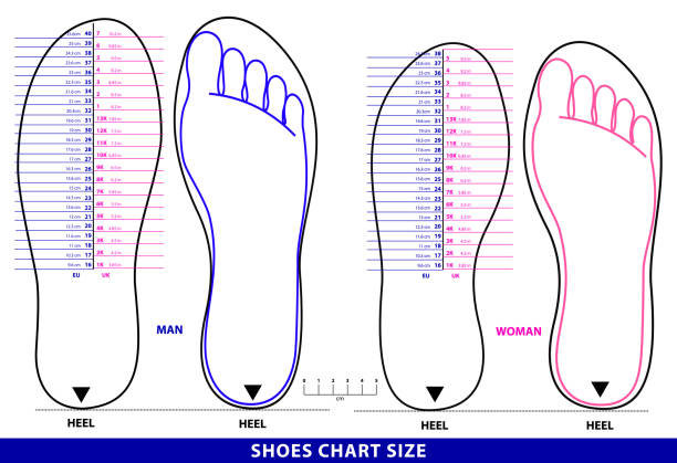 zestaw rozmiar wykresu buty lub skarpety rozmiar wykresu lub pomiaru koncepcji wykresu stóp. - large small scale clothing stock illustrations