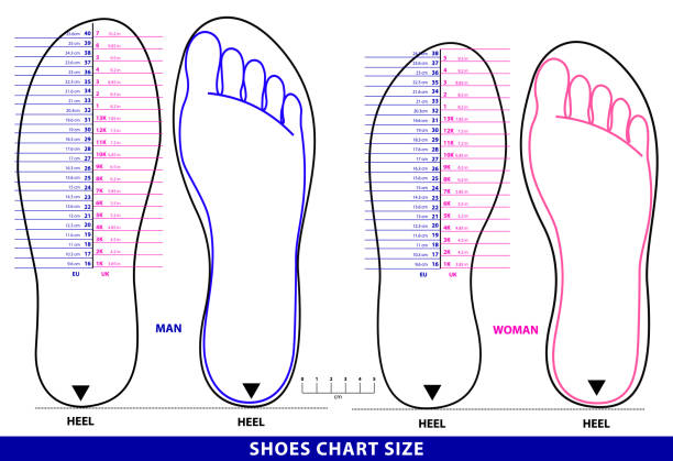 ilustrações, clipart, desenhos animados e ícones de conjunto de sapatos tamanho gráfico ou meias tamanho gráfico ou conceito de gráfico de pé de medição. - large small scale clothing