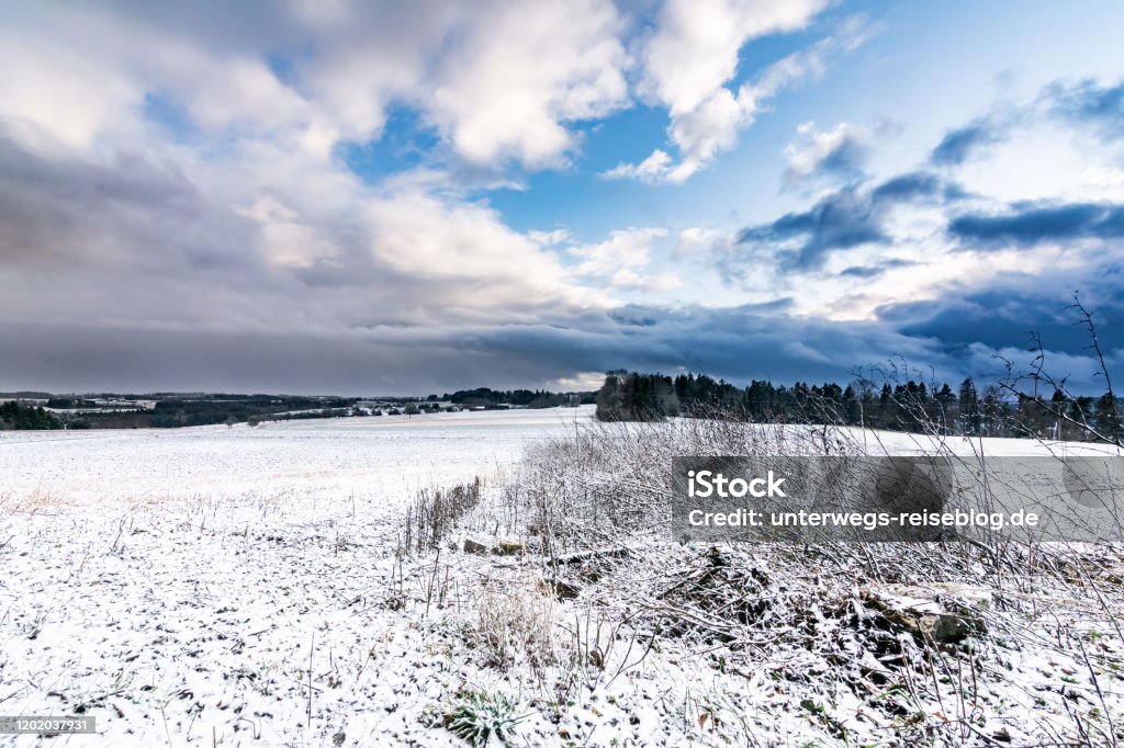 Schneefeld im Winter - Lizenzfrei Baum Stock-Foto