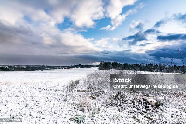 Schneefeld Im Winter Stockfoto und mehr Bilder von Baum - Baum, Beschaulichkeit, Blau