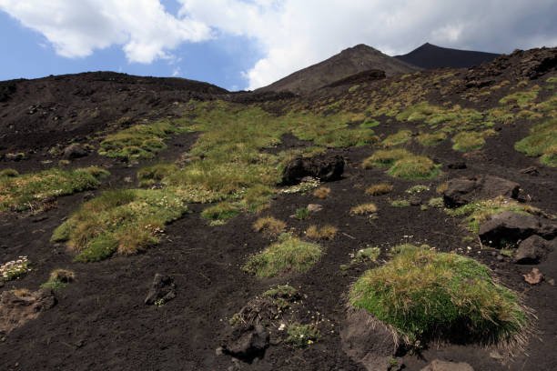 istock Vulcanic landscape at Mount Etna 1202039213