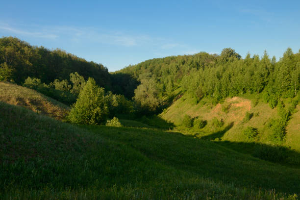 istock Evening summer landscape with a ravine and forest on its slopes 1202047229