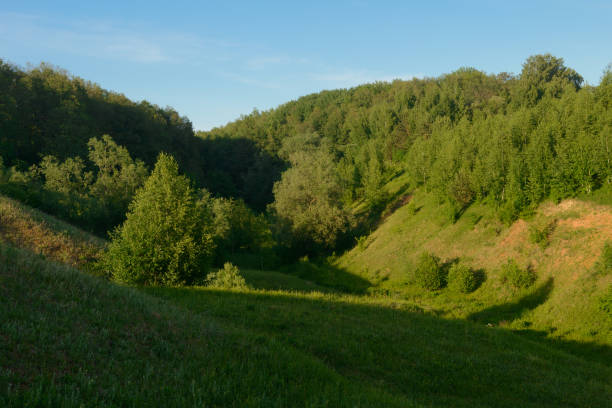 istock Evening summer landscape with a ravine and forest on its slopes 1202047433
