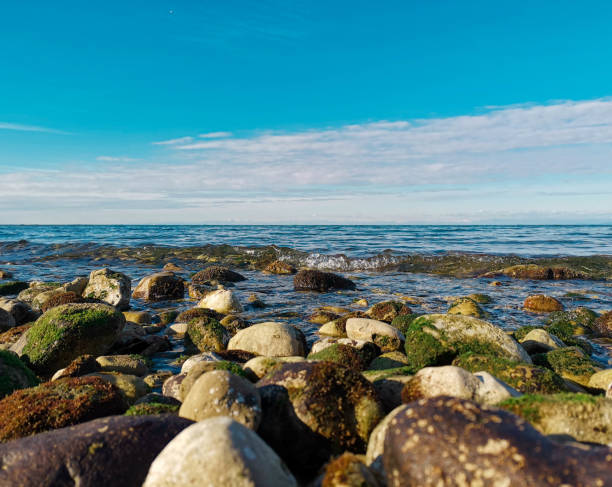 istock Sunny Sunday at the beach 1202048359