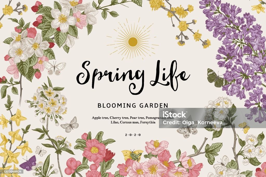 Spring Life Stock Illustration - Download Image Now - Flower, Dogwood ...